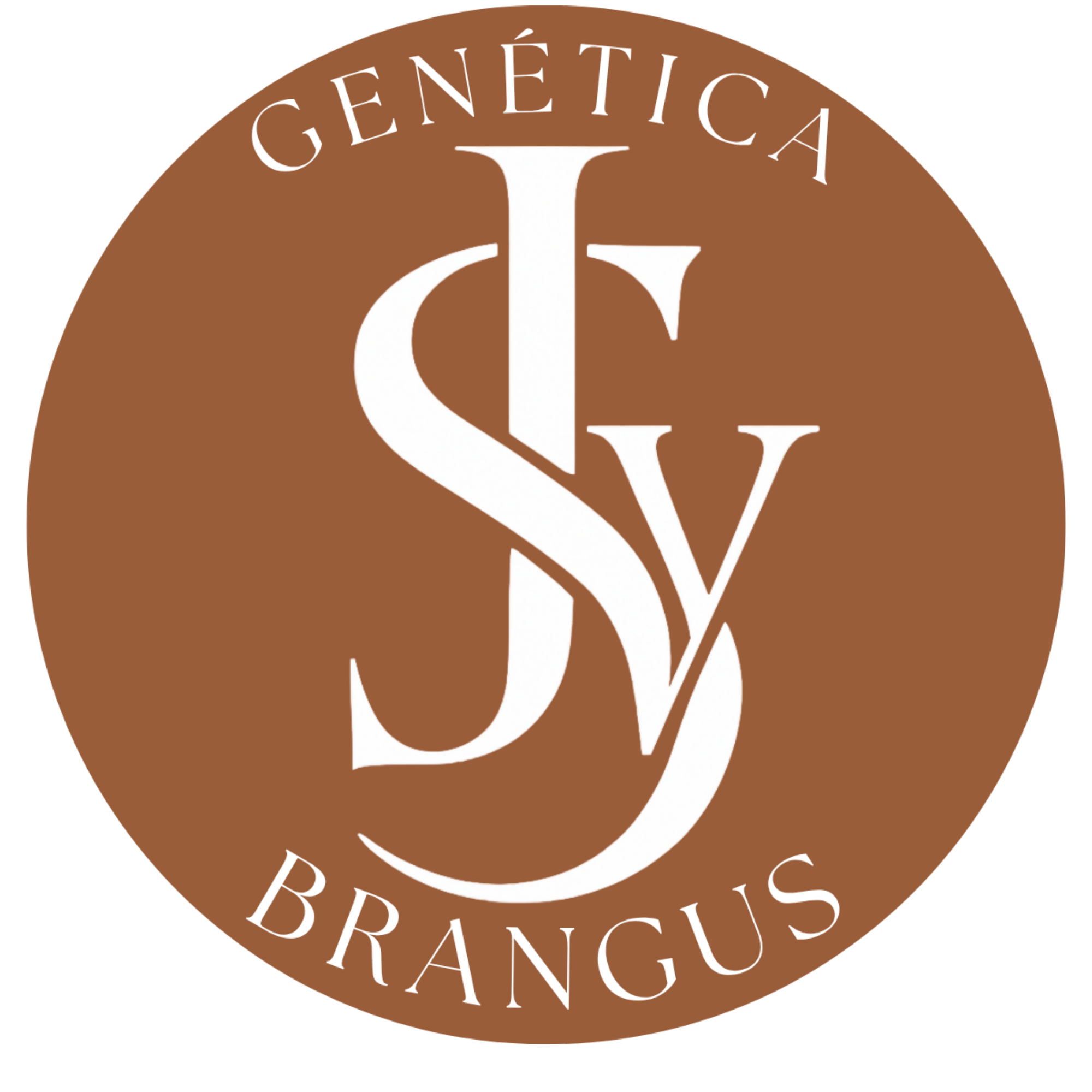 Genética Brangus JyS